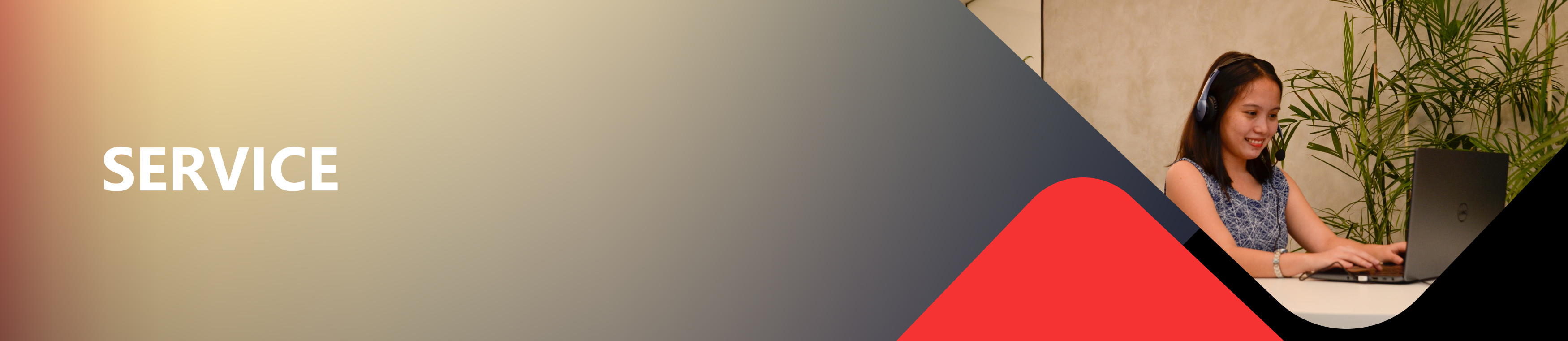 banner 1